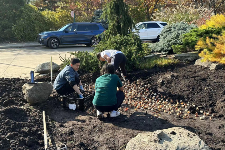 LittleBigGreen has demonstrated its effectiveness through the personal development of its members and measurable results in the wider community.